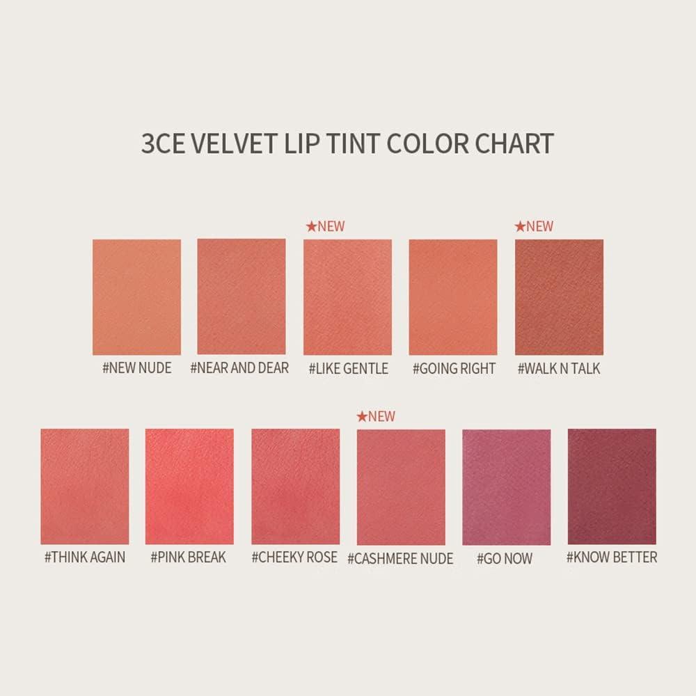 3CE Velvet Lip Tint 4g #PRIVATE