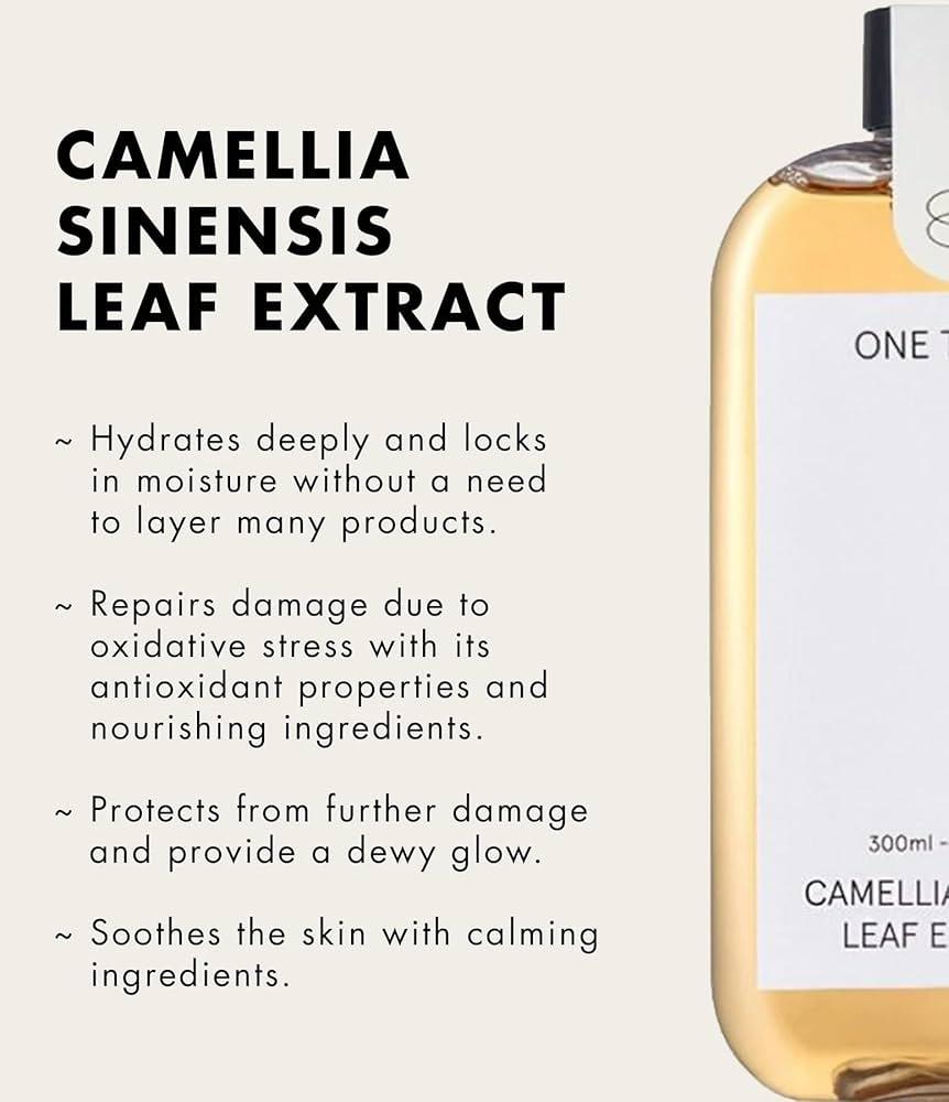 [ONE THING] Camellia Sinensis Leaf Extract 300ml JUMBO (Copy) - KimYoung K-beauty Shop