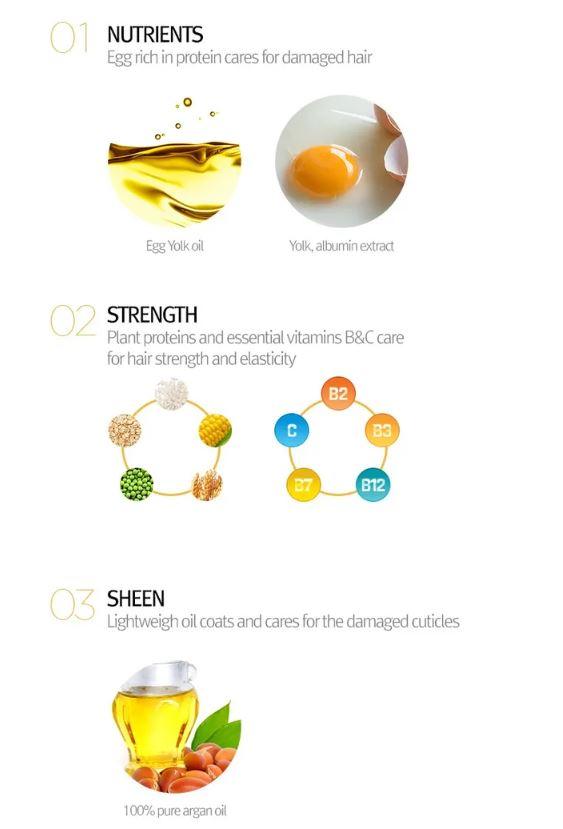 [TOO COOL FOR SCHOOL] Egg Remedy Hair Oil 100ml [US, Japan, Germany, India, UK, Uae, France, Italy, Brazil, Canada, Russia, South Africa, Australia, Kuwait, Mexico, Indonesia, Netherlands, Saudi Arabia, UKRAIN, Finland, POLAND, Singapore, Malaysia ]