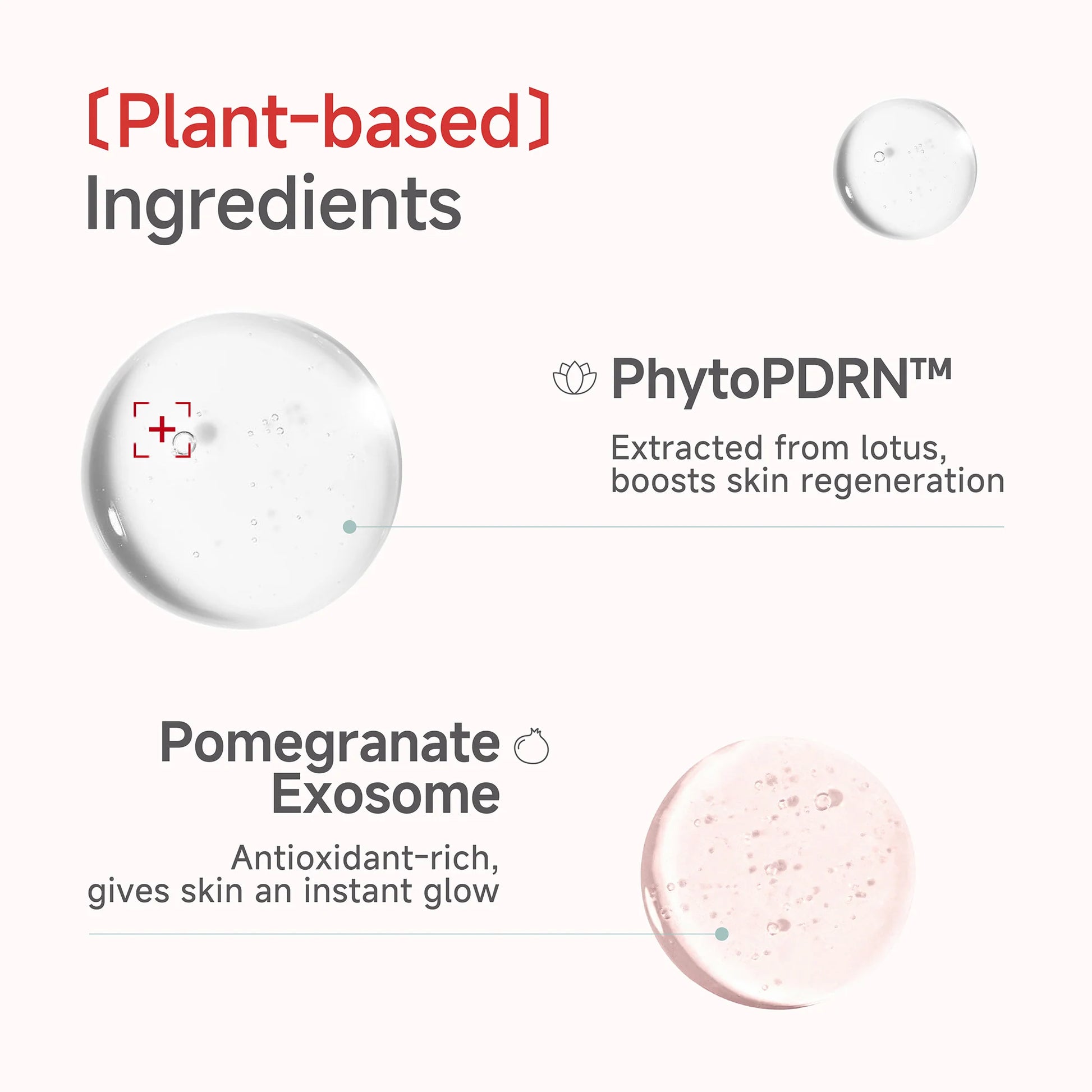 CDL Candorlov Ultra-Low Molecular CollagenMode Lifting Mask 5 EA [US, Japan, Germany, India, UK, Uae, France, Italy, Brazil, Canada, Russia, South Africa, Australia, Kuwait, Mexico, Indonesia, Netherlands, Saudi Arabia, UKRAIN, Finland, POLAND, Singapore, Malaysia ]