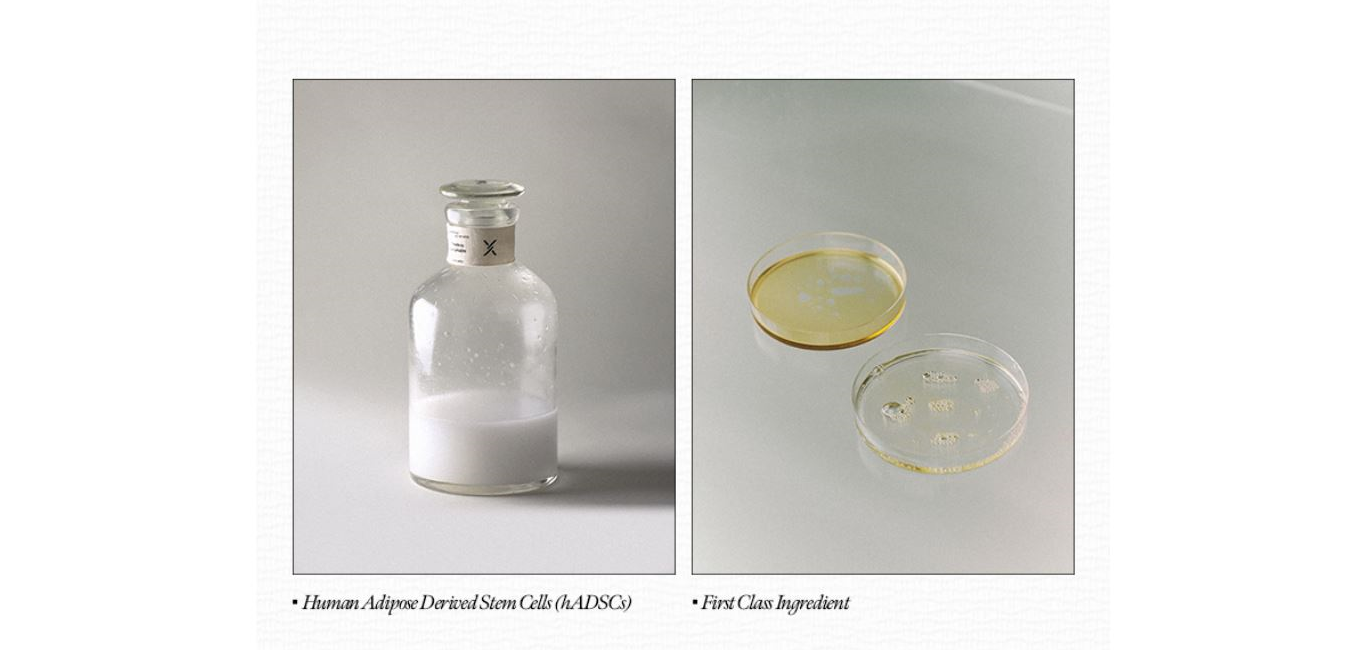 XOUL Ever Moist Lip Balm 8g [US, Japan, Germany, India, UK, Uae, France, Italy, Brazil, Canada, Russia, South Africa, Australia, Kuwait, Mexico, Indonesia, Netherlands, Saudi Arabia, UKRAIN, Finland, POLAND, Singapore, Malaysia ]