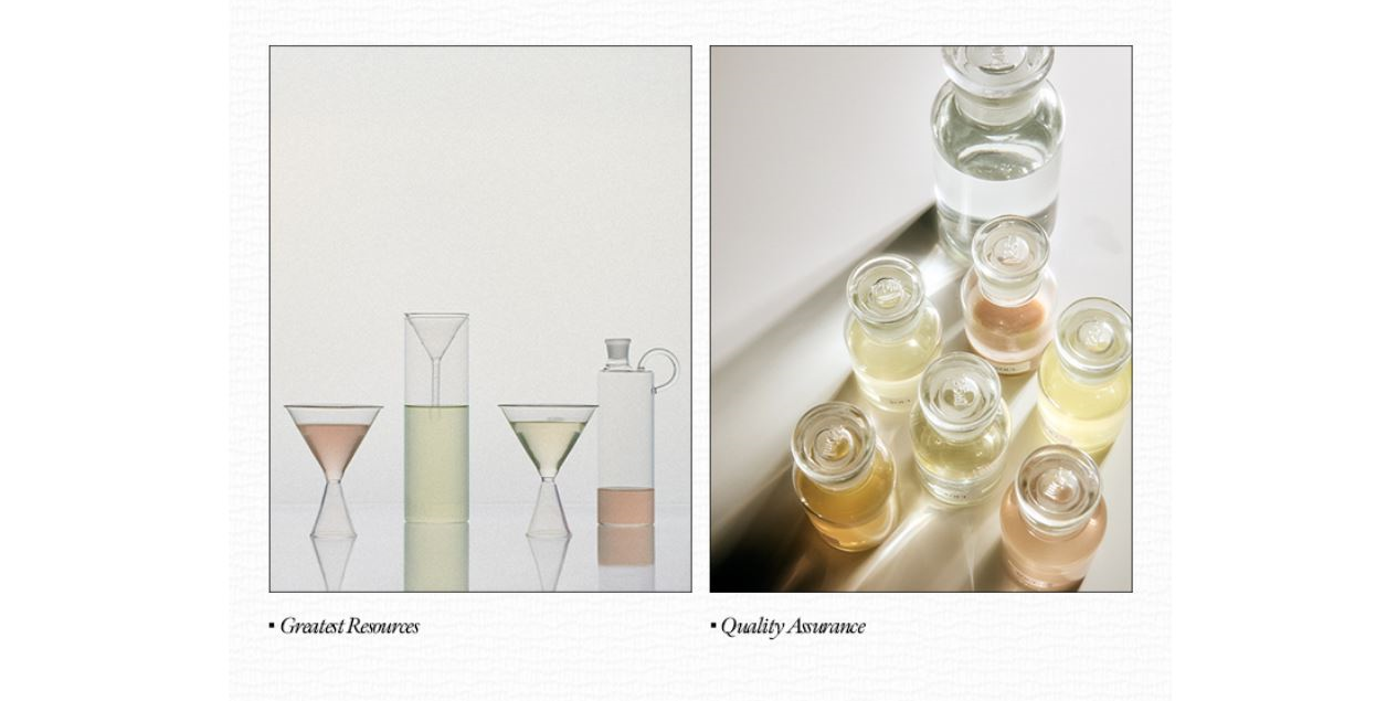 XOUL Ever Moist Lip Balm 8g [US, Japan, Germany, India, UK, Uae, France, Italy, Brazil, Canada, Russia, South Africa, Australia, Kuwait, Mexico, Indonesia, Netherlands, Saudi Arabia, UKRAIN, Finland, POLAND, Singapore, Malaysia ]