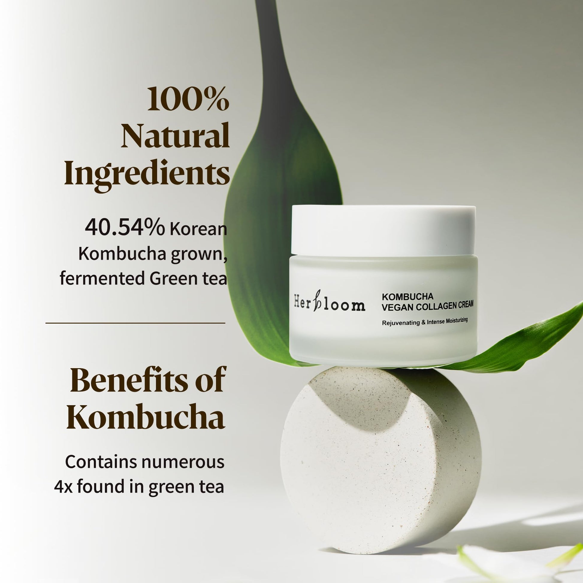 Herbloom - Kombucha Vegan Collagen Cream Moisturizer Cream Herbloom