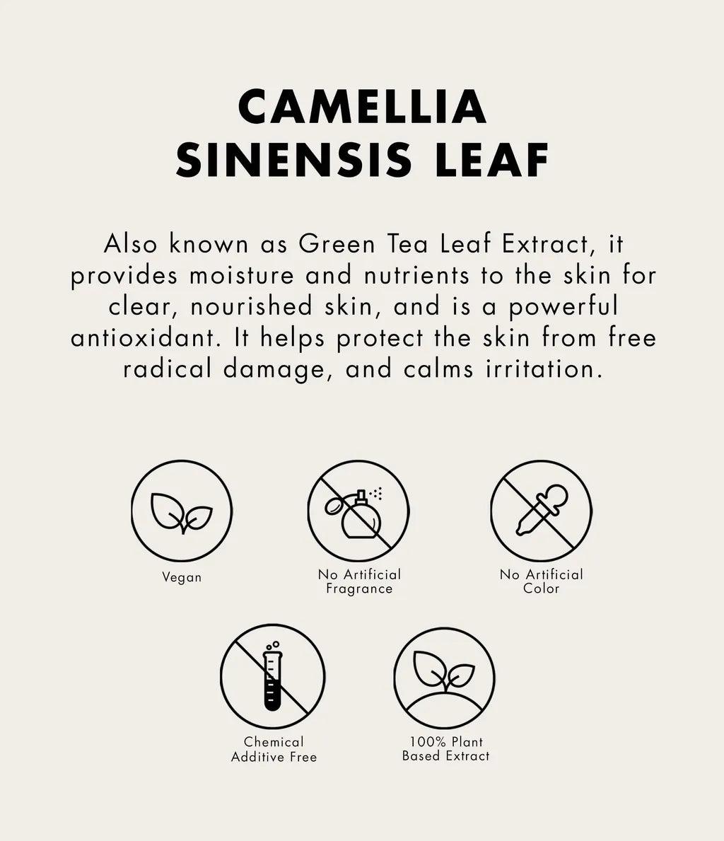 [ONE THING] Camellia Sinensis Leaf Extract 300ml JUMBO (Copy) - KimYoung K-beauty Shop