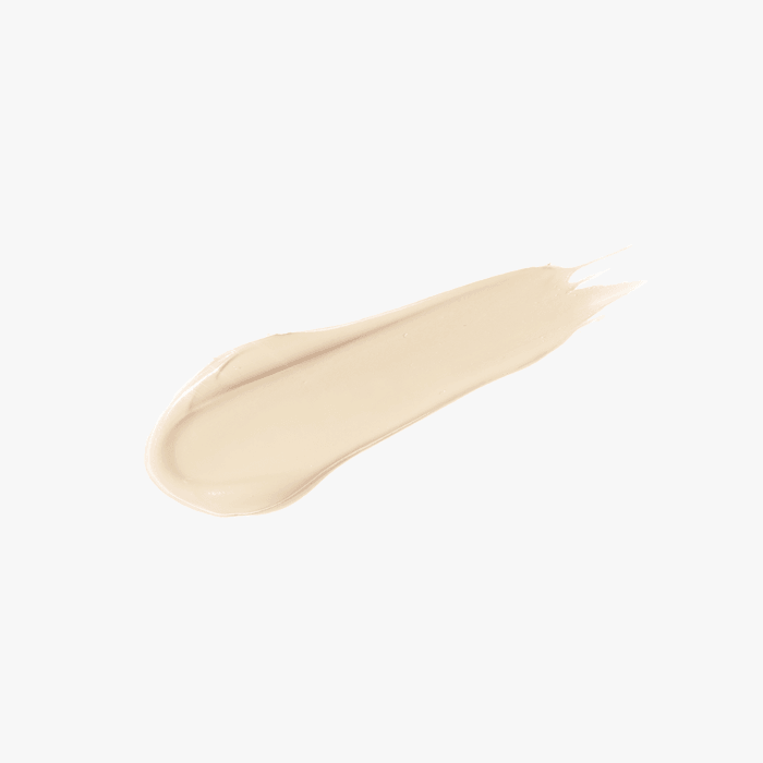 [DEAR DAHLIA] Skin Paradise Flawless Fit Expert Concealer 6.5g (10 shades)