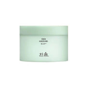 HANYUL Pure Artemisia Watery Calming Pads 60P